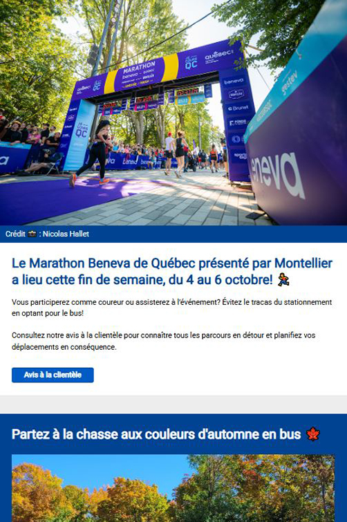 Idées de sorties en bus