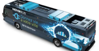 bus