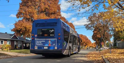 Autobus circulant dans un quartier de la ville de Québec