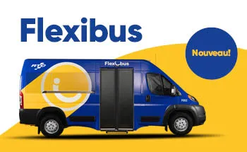 Flexibus